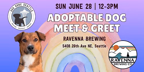 Adoptable Dog Meet & Greet at Ravenna Brewing