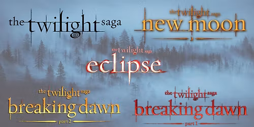 THE TWILIGHT SAGA ON THE BIG SCREEN