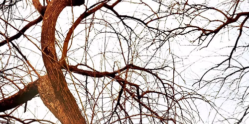 Good Flying Birds - Berlin - Neue Zukunft