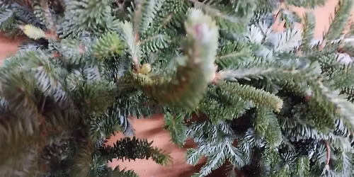 Wreath Making Session 