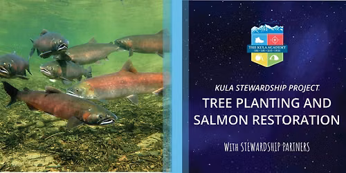 Salmon Restoration and Planting Event