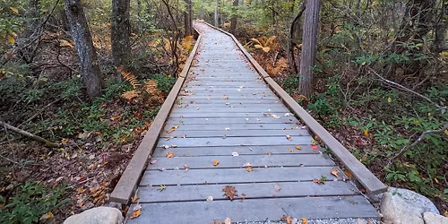 Explore & Play at Manchester Cedar Swamp Preserve