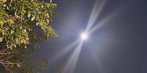 Blue Micromoon Full Moon Meditation Ceremony $40