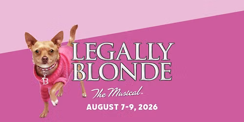 Opening Night: Legally Blonde The Musical 