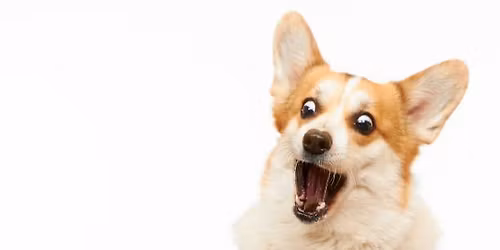 January 50% off Sale