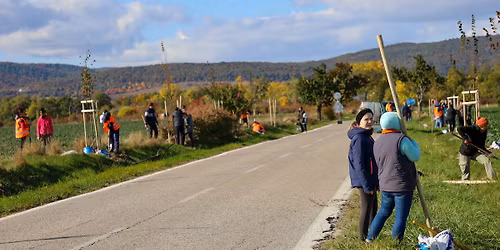 VI\u0160TUCK\u00c9 LIPKY: Jesenn\u00e1 brig\u00e1da