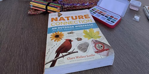 Nature Journaling: Digital Well-being
