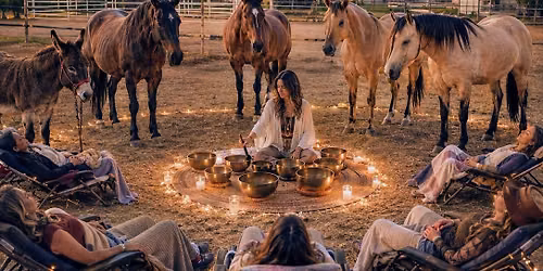Ahava's Wild heart experience and Equisound bath 