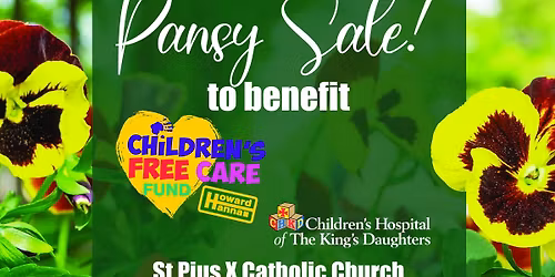 CFCF Pansy SALE!!!!!!!!!!!!!!!