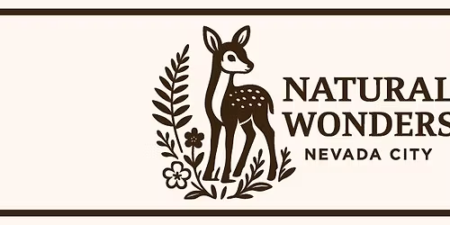 Holiday Party and 20% off sale event!