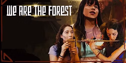 "We Are The Forest \u201c featuring an 8-channel spatial sound mix