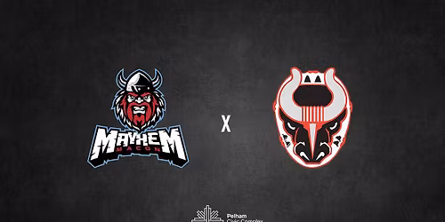 Wiener Dog Race + Trading Cards Giveaway