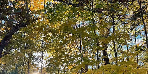 Fall minis