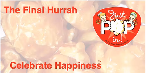 Scott Rudicel at Just Pop In! The Final Hurrah