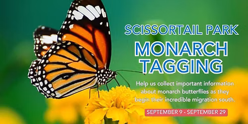 Scissortail Park-Monarch Tagging