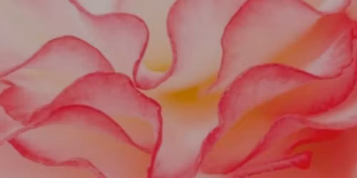  Ateliers d'exploration cr\u00e9ative et th\u00e9rapeutique