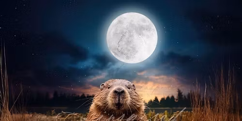 T3H3 #519 Return of the Beaver Moon combined with Leolunar