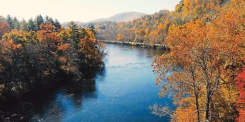 Life in the Floodplain Post-Helene