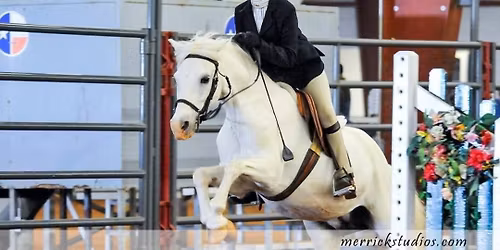 Thanksgiving Turkey Trotting Camp