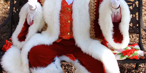 Pictures with Santa Claus!