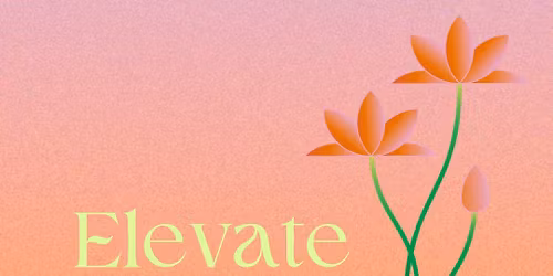 Elevate: Program and Workshop Design