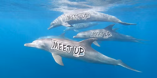 Scuba divers meet up 2025 - ALEA Divers p\u00e1rty