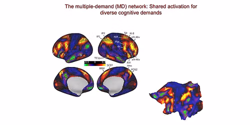 The Organization of Goal-Directed Behaviour in the Brain - Professor John Duncan FRS MRC