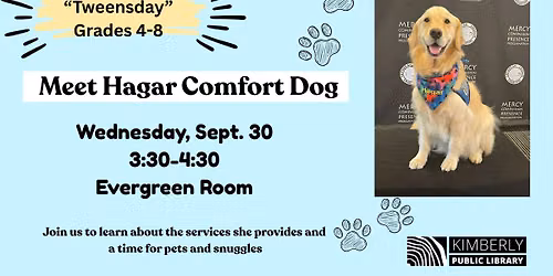 Meet Hagar the Comfort Dog