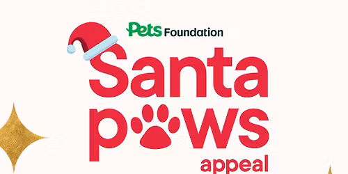Pets at Home Santa Paws \ud83c\udf85\ud83d\udc3e