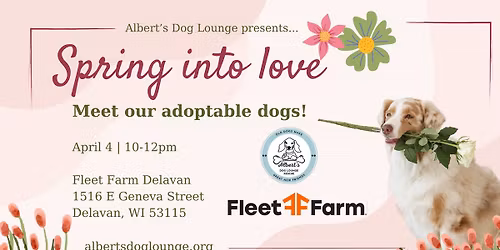 Meet our Adoptable Dogs! 