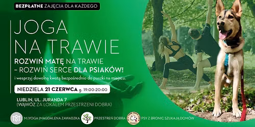 Joga na trawie - bezp\u0142atna sesja