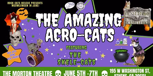 The Amazing Acro-Cats' \u201cMeowloween in June\u201d Athens Special!