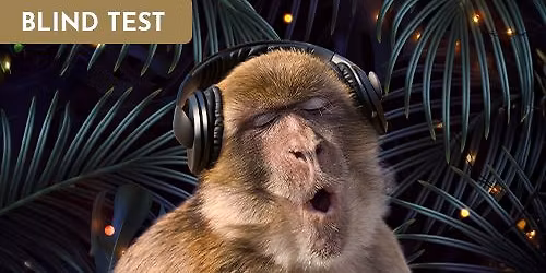 MONKEY'S PARTIES \u2022 BLIND TEST \ud83e\udd8d