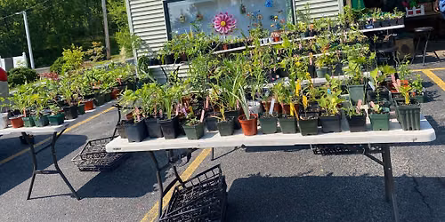 Plant Sale with Michael Hannen at The Bird House