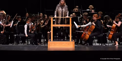 Youth Orchestras Program Spring Finale