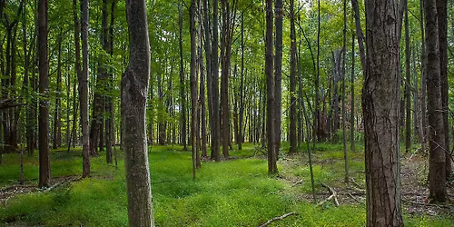 Trail Challenge: Hike to a Hidden Ravine