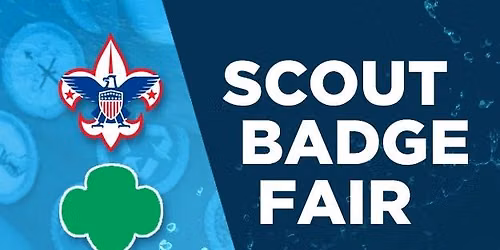 NEW Scout Badge Fair