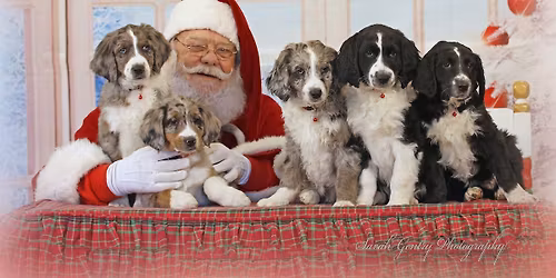 Best Santa Photos EVER!