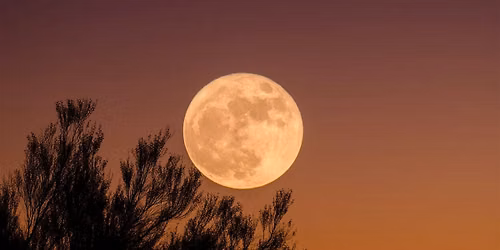 Full Moon: Cacao & Kirtan