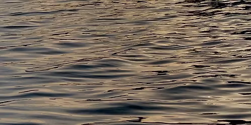Salthouse Sauna - Boxing Day 