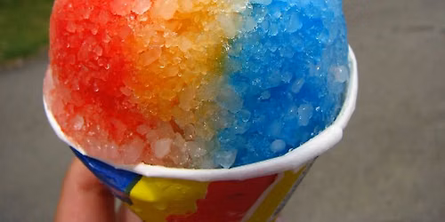 Snow Cones for Conservation
