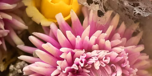 Chocolate Chrysanthemum hands on workshop