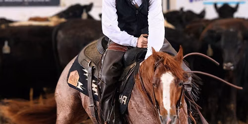 \ud83c\uddfa\ud83c\uddf8 Independence Day Celebration NCHA Challenger Show \ud83c\uddfa\ud83c\uddf8