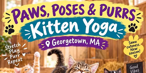 Paws, Poses & Purrs: Kitten Yoga