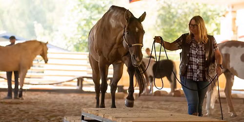Extreme Trail Kurs mit dem Team vom Gut Hammerberg