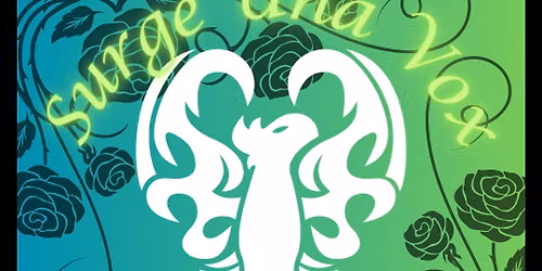 Surge Una Vox - An Immersive Fantasy Experience