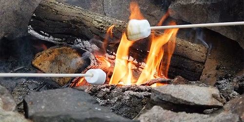 Campfire: Signs of Spring