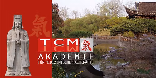 Die S\u00e4ulen der TCM # Einf\u00fchrungskurs in die Traditionelle Chinesische Medizin # Basiskurs 1