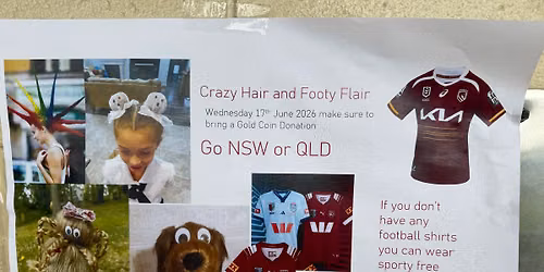 Crazy Hair and Footy Flair