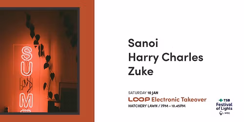 Loop Electronic Takeover | TSB Festival of Lights
